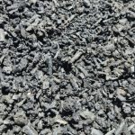 rare cacti South Africa unique cactus varieties exotic succulents and cacti collectable cacti for sale rare cactus nursery Lusthof Kwekery cactus collection rare succulent plants South Africa indoor rare cacti passion for cacti