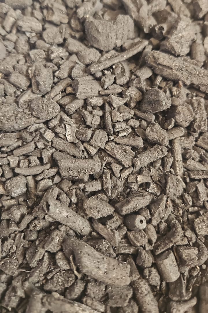 rare cacti South Africa unique cactus varieties exotic succulents and cacti collectable cacti for sale rare cactus nursery Lusthof Kwekery cactus collection rare succulent plants South Africa indoor rare cacti passion for cacti