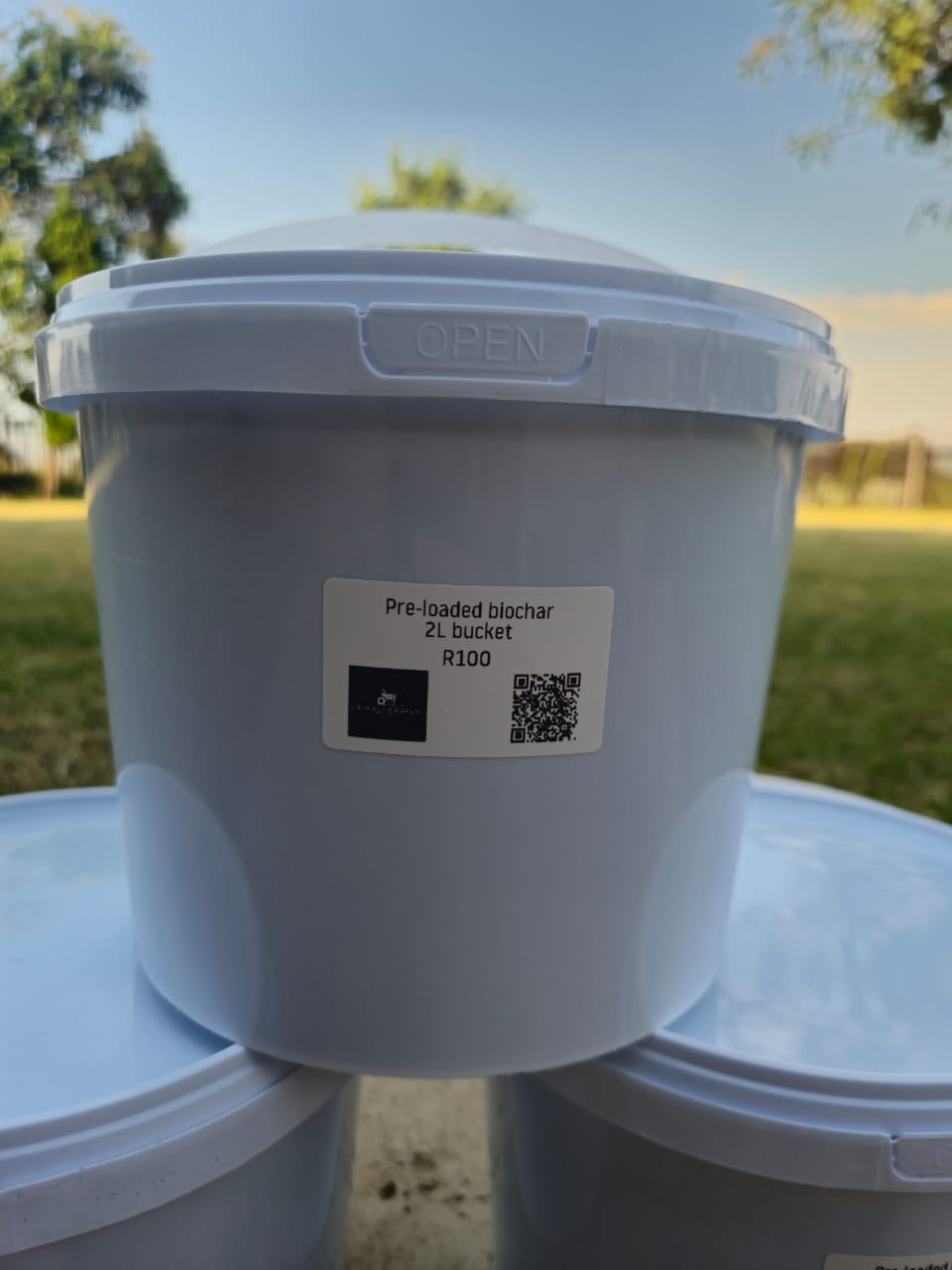 rare cacti South Africa unique cactus varieties exotic succulents and cacti collectable cacti for sale rare cactus nursery Lusthof Kwekery cactus collection rare succulent plants South Africa indoor rare cacti passion for cacti