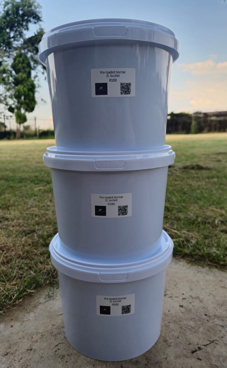 rare cacti South Africa unique cactus varieties exotic succulents and cacti collectable cacti for sale rare cactus nursery Lusthof Kwekery cactus collection rare succulent plants South Africa indoor rare cacti passion for cacti