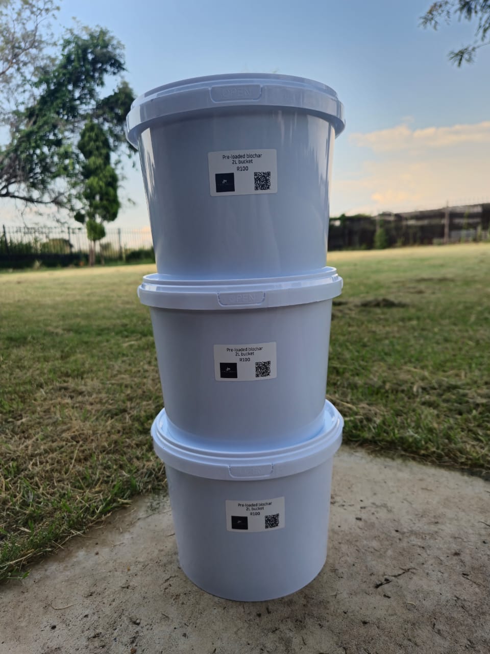 rare cacti South Africa unique cactus varieties exotic succulents and cacti collectable cacti for sale rare cactus nursery Lusthof Kwekery cactus collection rare succulent plants South Africa indoor rare cacti passion for cacti