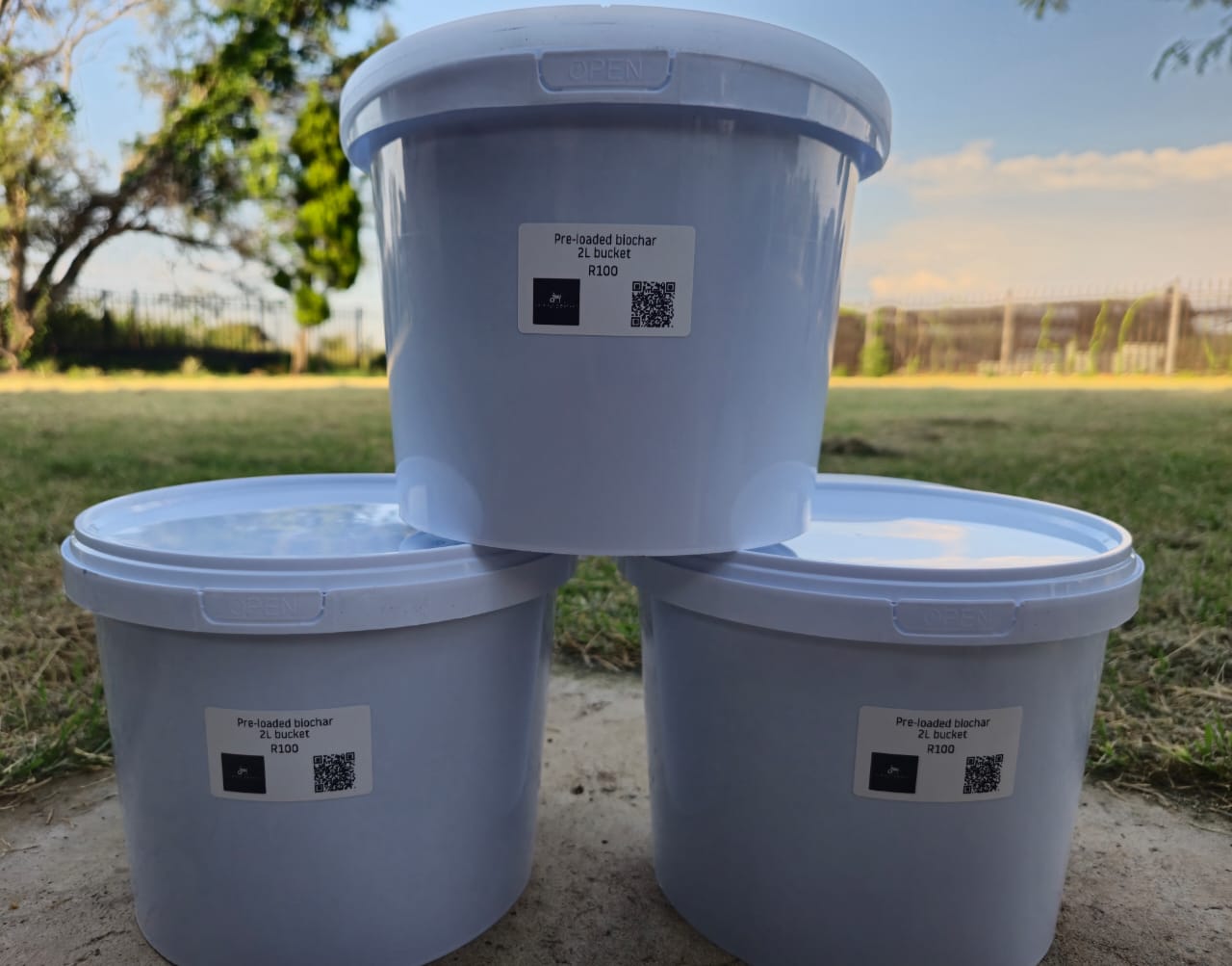 rare cacti South Africa unique cactus varieties exotic succulents and cacti collectable cacti for sale rare cactus nursery Lusthof Kwekery cactus collection rare succulent plants South Africa indoor rare cacti passion for cacti