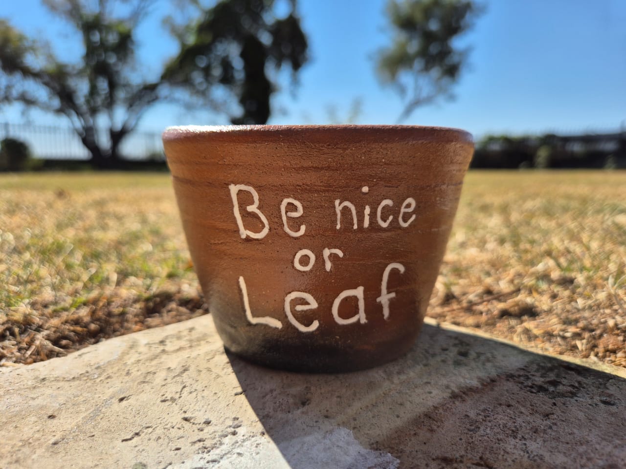 "Be Nice or Leaf" Clay Pot - Image 1