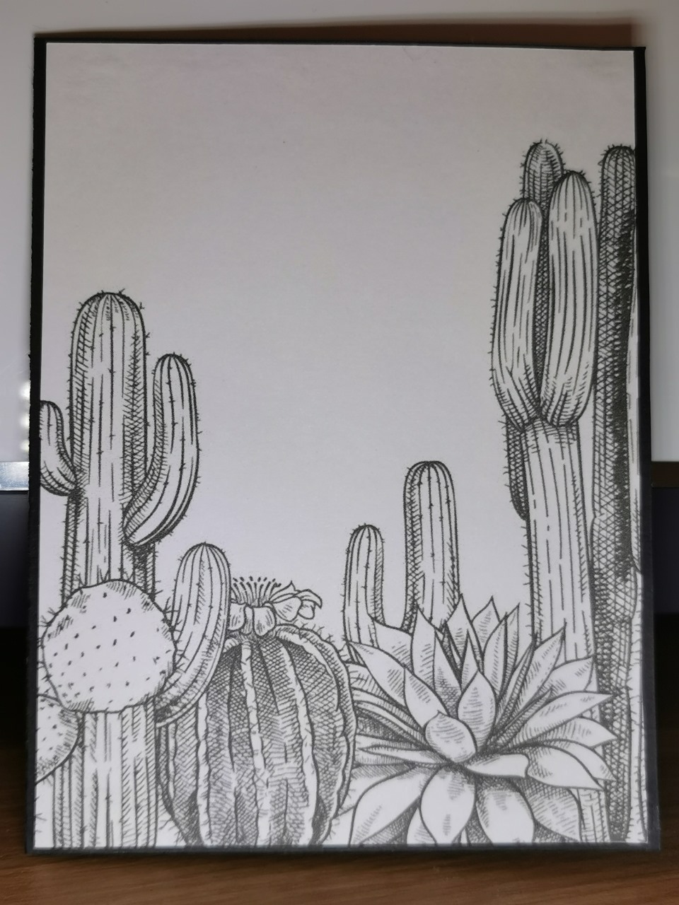 "Cacti" Card - Image 1