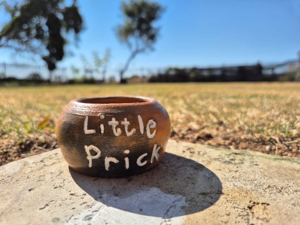 "Little Prick" Clay Pot