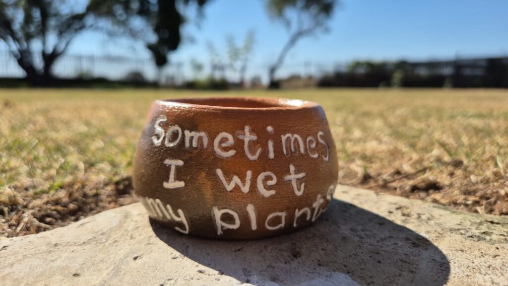 "Sometimes I Wet My Plants" Clay Pot
