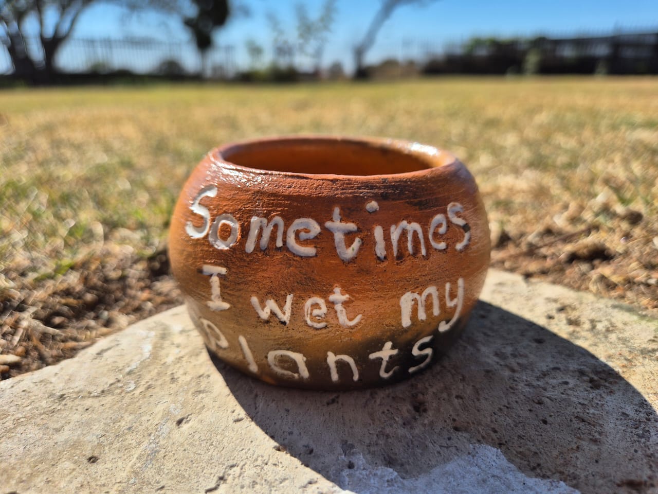 "Sometimes I Wet My Plants" Clay Pot - Image 1