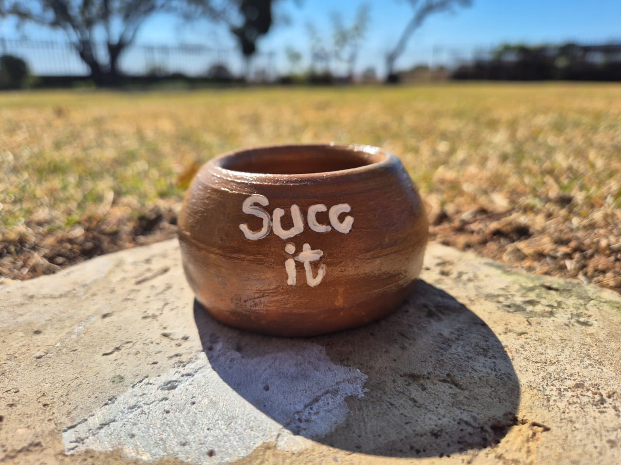 "Succ It" Clay Pot - Image 1