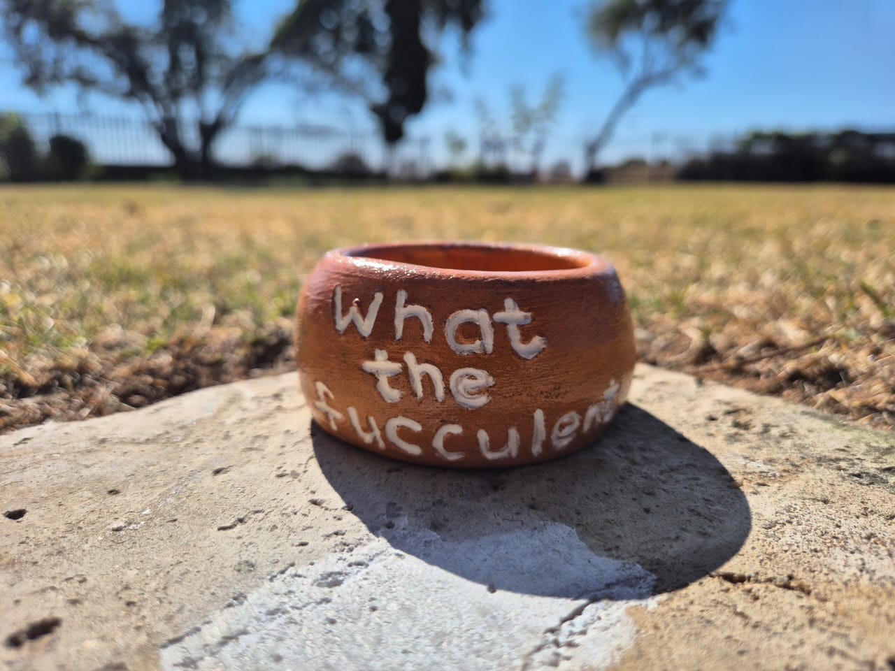 "What The Fucculent" Clay Pot - Image 1