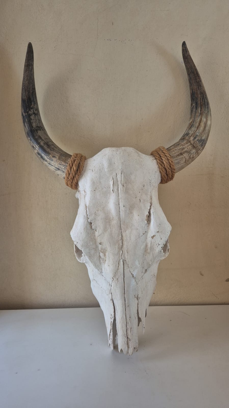 Cow Skull with Subtle Mosaic